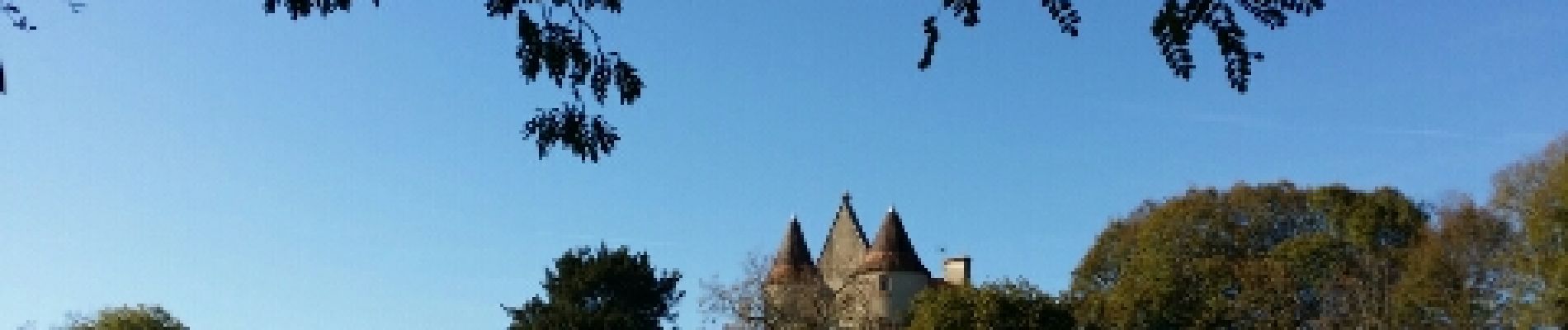 Punto di interesse Saint-Sornin - Le château de la fenêtre  - Photo