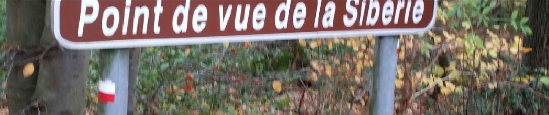 Trail Walking Profondeville - RIVIERE ( Les Béguines) - Photo
