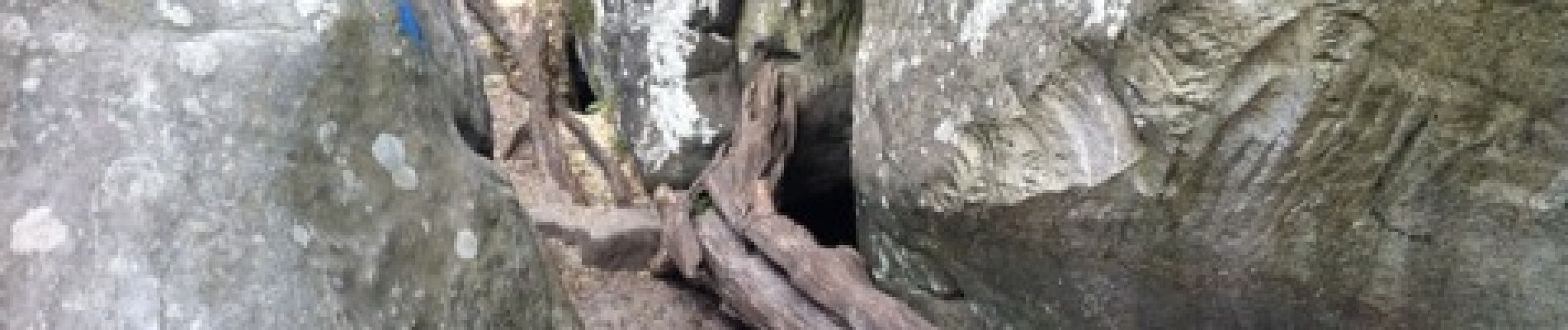 Point d'intérêt Fontainebleau - caverne des brigands - Photo
