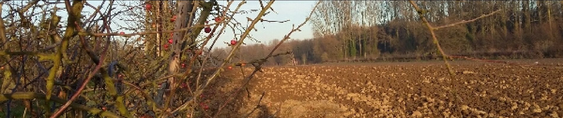 Tocht Stappen Orp-Jauche - Folx-les-Caves Nathalie Demain 06 12 2016 - Photo