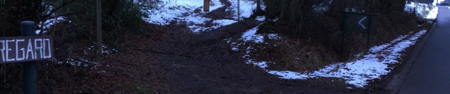 Randonnée Marche Seraing - la roche aux faucons - Photo