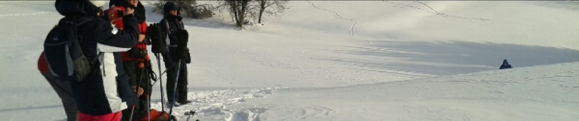 Tocht Sneeuwschoenen Le Thillot - chaillon - Photo