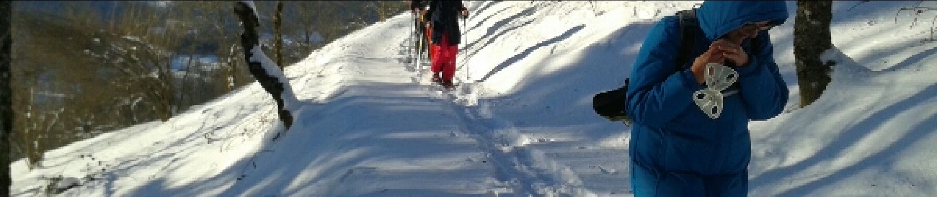 Trail Snowshoes Le Thillot - le  - Photo