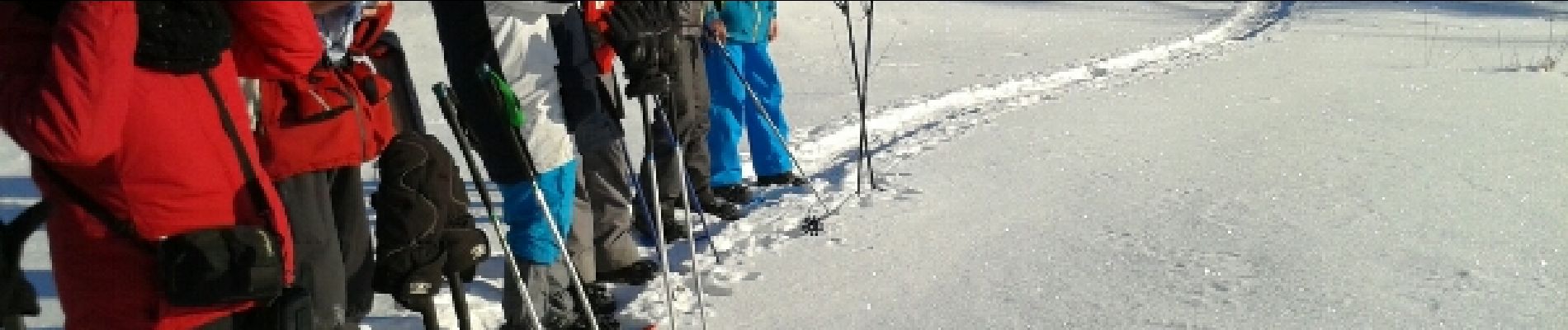 Trail Snowshoes Le Thillot - la vierge fugueuse - Photo