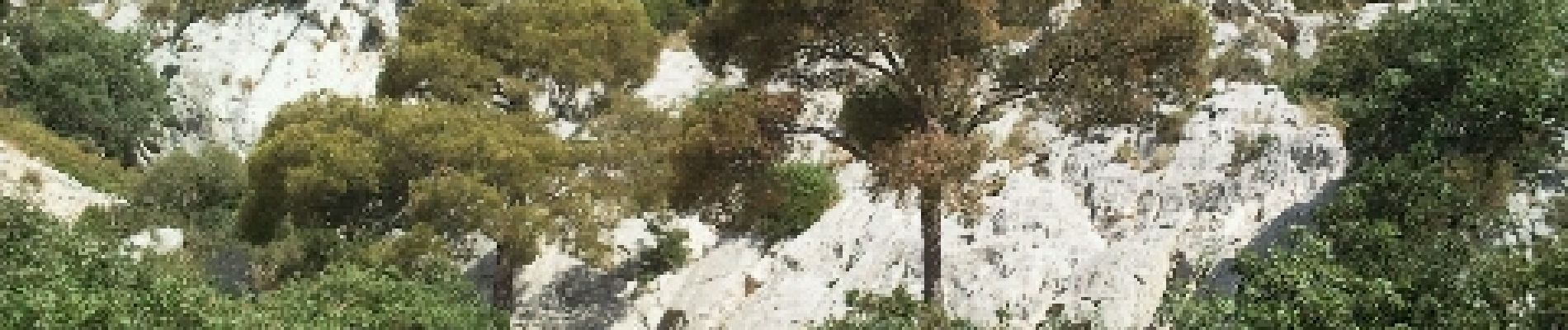 Trail Walking Toulon - Faron par le sentier des hirondelles - Photo
