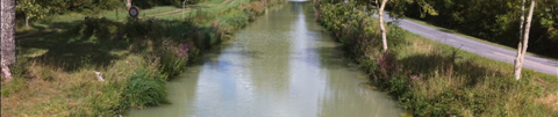 Punto de interés Ciré-d'Aunis - Canal - Photo