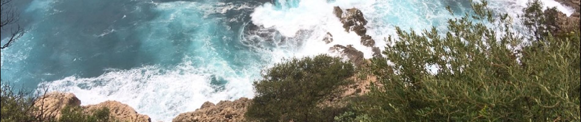 Percorso Corsa a piedi Nizza - Maeterlinck Saint Jean cap Ferrat boucle  - Photo