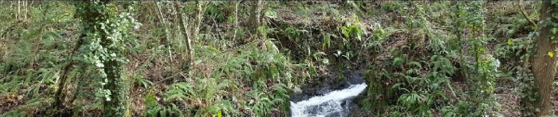 Tour Wandern Le Minihic-sur-Rance - chapelle St Buc - Photo