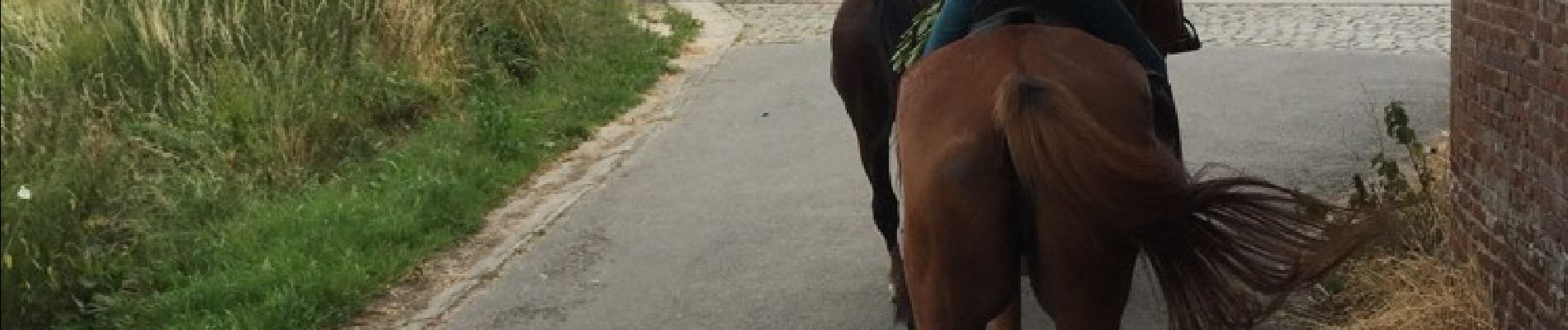 Trail Equestrian Lessines - deux acren - Photo