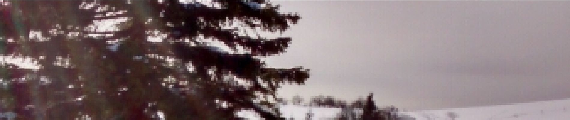 Randonnée Raquettes à neige Fellering - raquettes markstein 12-02-17 - Photo