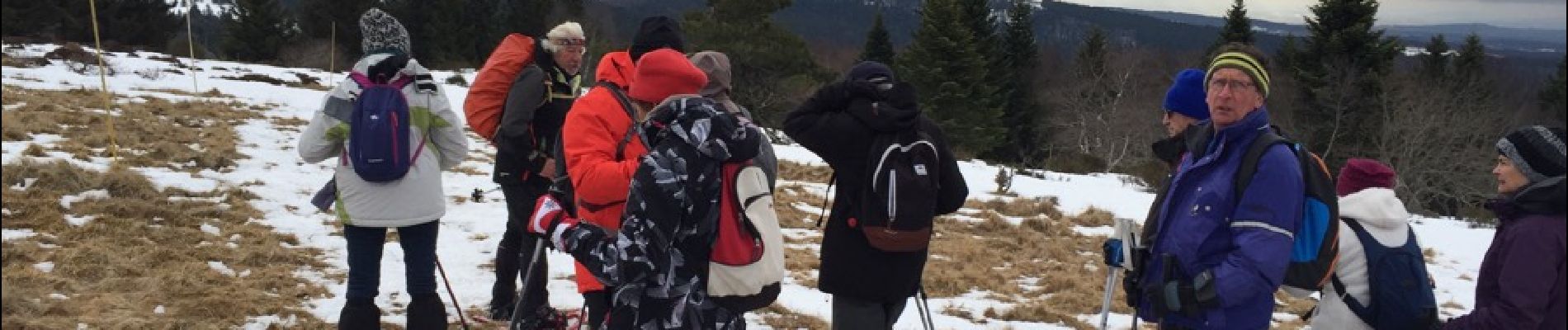 Randonnée Marche La Tour-d'Auvergne - CLD-Raquettes le 14-02-2017 - Photo