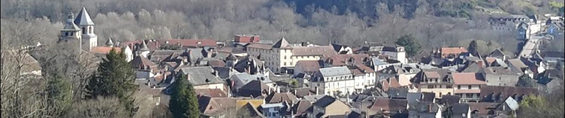 Punto de interés Beaulieu-sur-Dordogne - Vue sur Beaulieu-Altillac - Photo