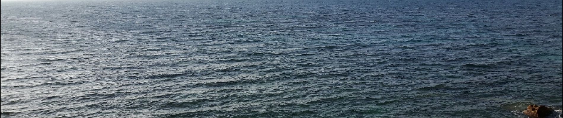 Tocht Stappen Saint-Cyr-sur-Mer - les sentiers des Vignes et du littoral - Photo