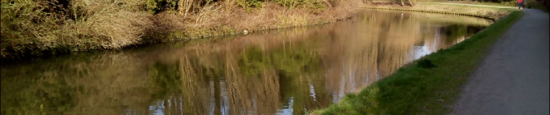 Tour Wandern Bondues - Bondue 18/02/17 - Photo