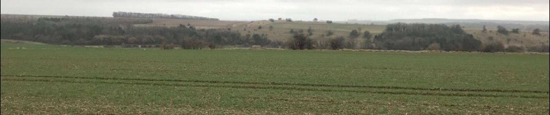 Randonnée Autre activité La Chaussée-Tirancourt - samara  - Photo