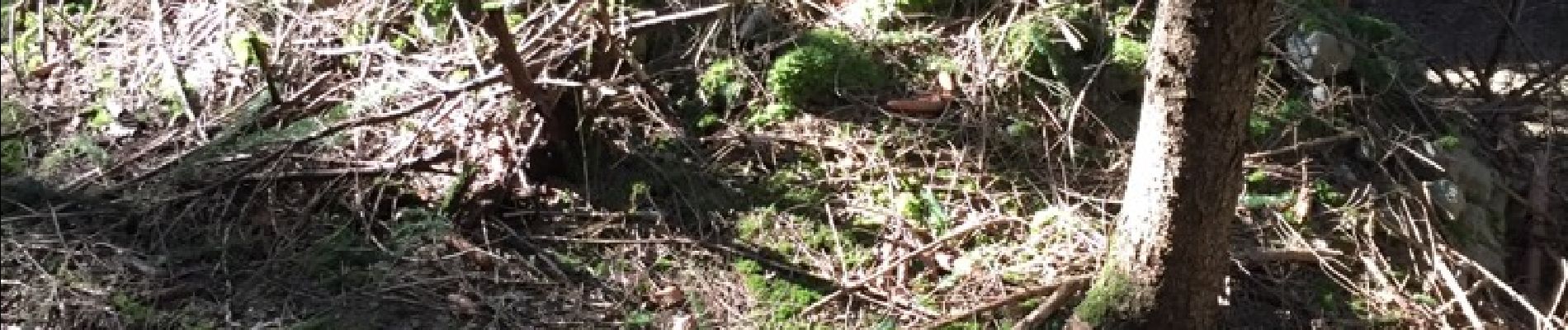 Punto di interesse Fougax-et-Barrineuf - petit tumulus  - Photo