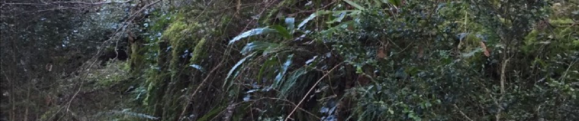 Punto de interés Fougax-et-Barrineuf - gros mur de soutènement? - Photo