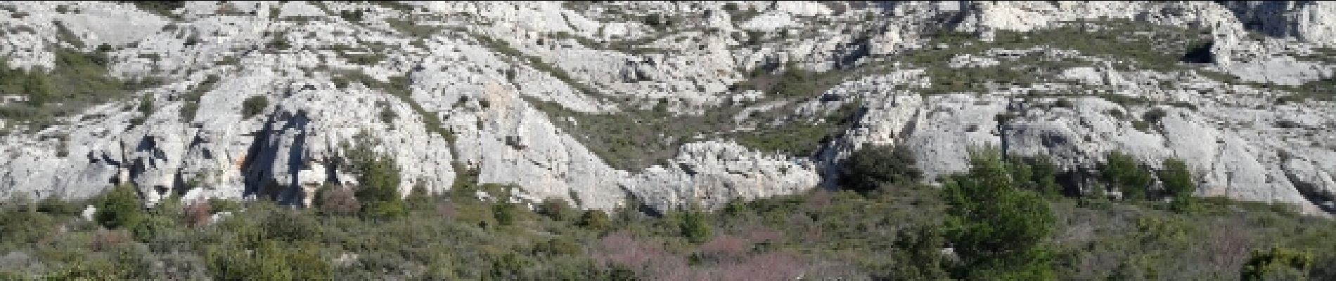 Excursión Senderismo Saint-Antonin-sur-Bayon - Sainte Victoire par le pas de clapier  - Photo