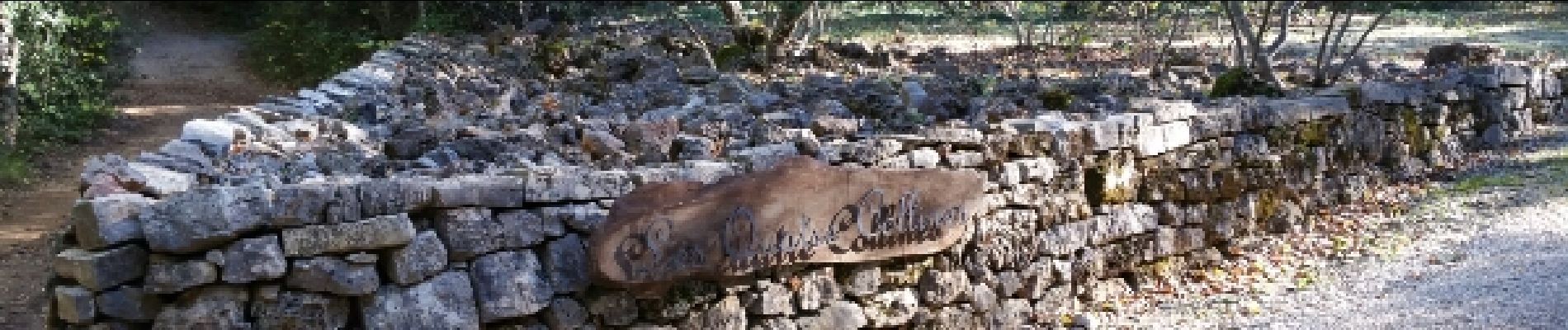 Randonnée Marche Flassans-sur-Issole - Peyrassol reco nulle - Photo