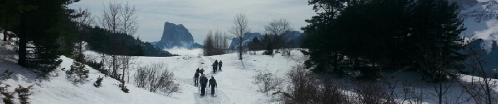 Trail Snowshoes Gresse-en-Vercors - Le pas du Serpaton et + (Gresse Circuit 8 Noir) - Photo