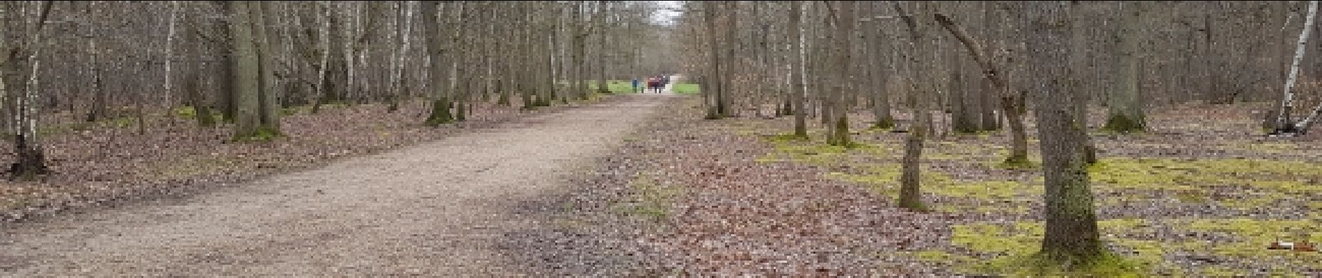 Point d'intérêt Plaisir - Tout au fond - Photo