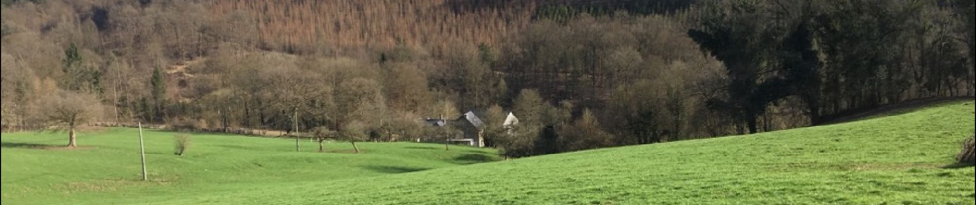 Tour Wandern Esneux - Esneux , le plus beau parcour de 13 km avec 2 montées accessibles  - Photo