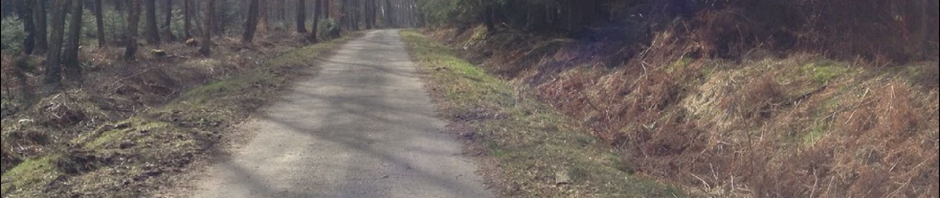 Excursión Senderismo Eupen - Hertogenwald 18,3 km (sans barrage) - Photo