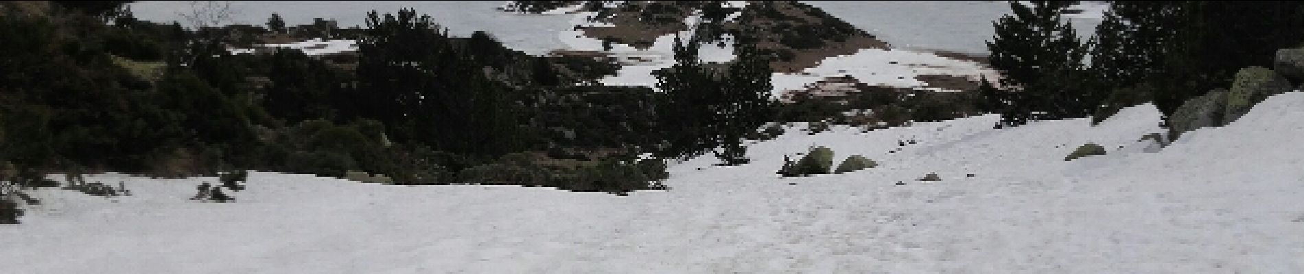 Tour Schneeschuhwandern La Llagonne - Avallan, étang nègre, Bouillouse, refuge et retour - Photo