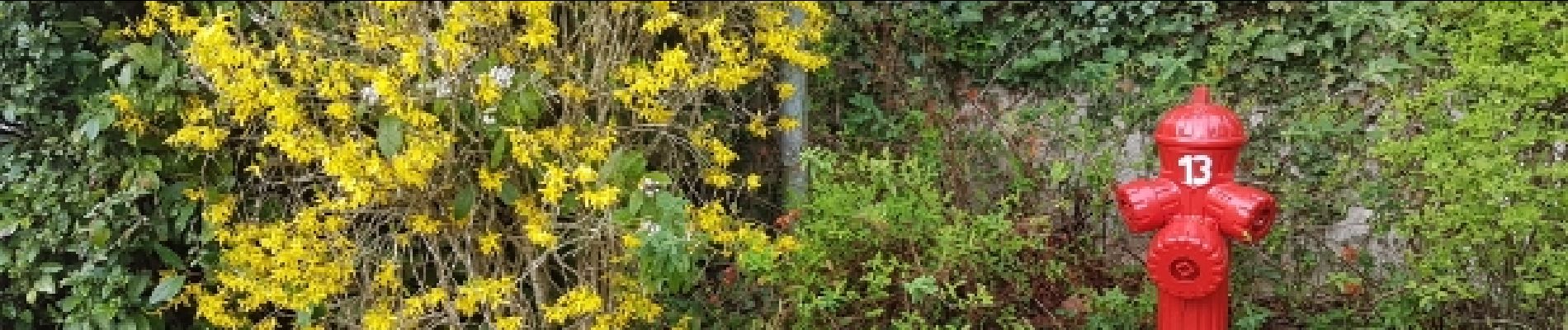 Punto de interés Bazoches-sur-Guyonne - Couleurs du printemps - Photo
