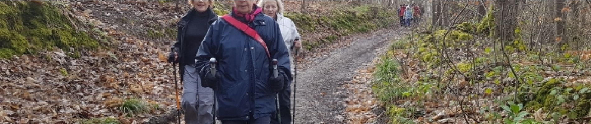 Trail Walking Le Tremblay-sur-Mauldre - rando du 23/03/2017 - Photo