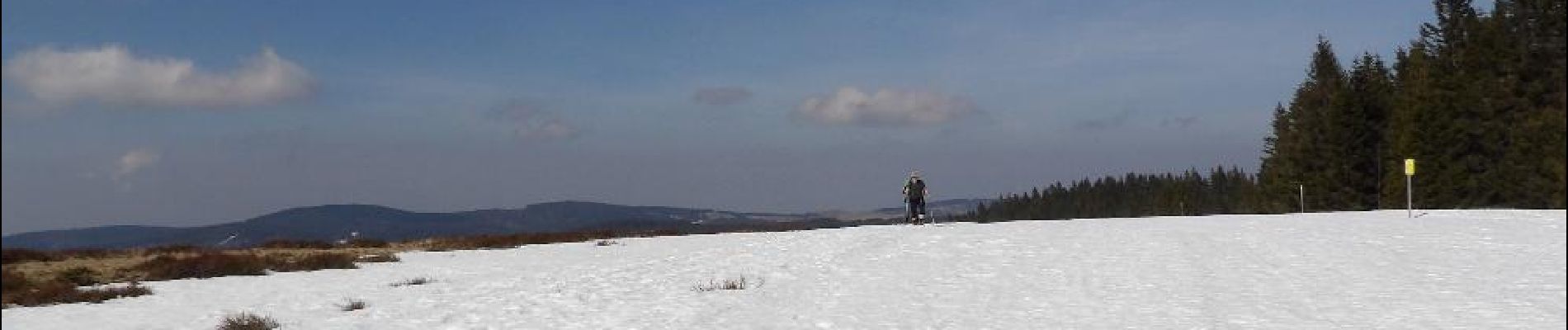 POI Todtnau - Stübenwasen - Photo