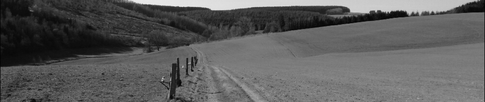 Trail Walking Vaux-sur-Sûre - promenade des hiboux - Photo