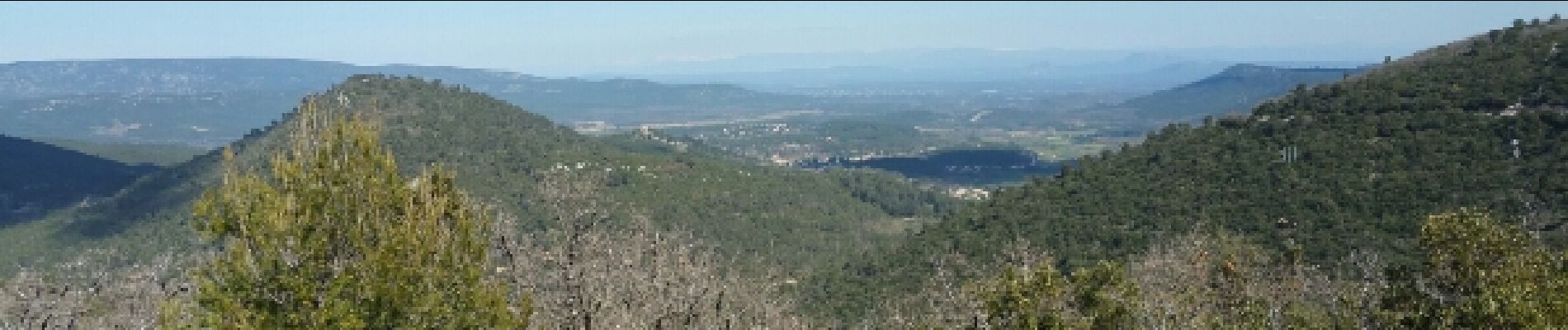 Excursión Senderismo Nans-les-Pins - Nans-l'Huveaune rando - Photo