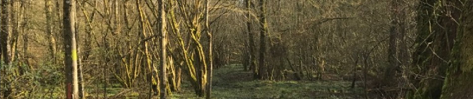 Punto de interés Couvin - Sentier des chasseurs - Photo