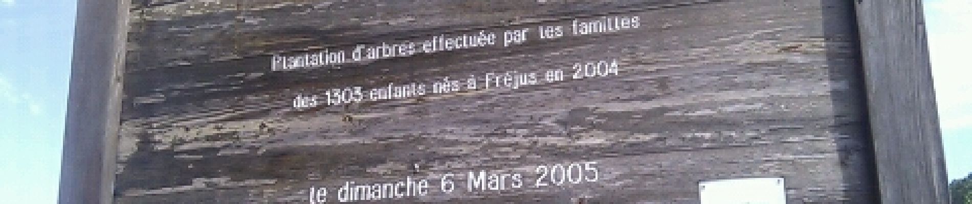 Punto di interesse Fréjus - Forêt des enfants - Photo