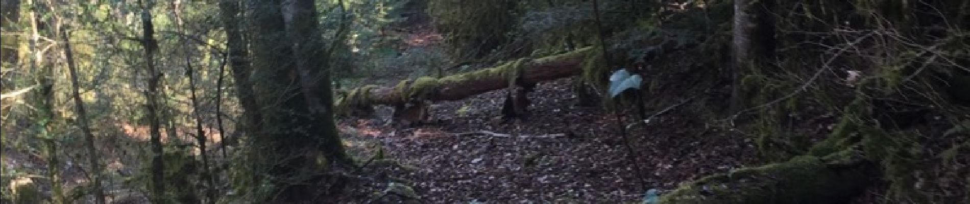 Point d'intérêt Fougax-et-Barrineuf - Acces a boussette - Photo