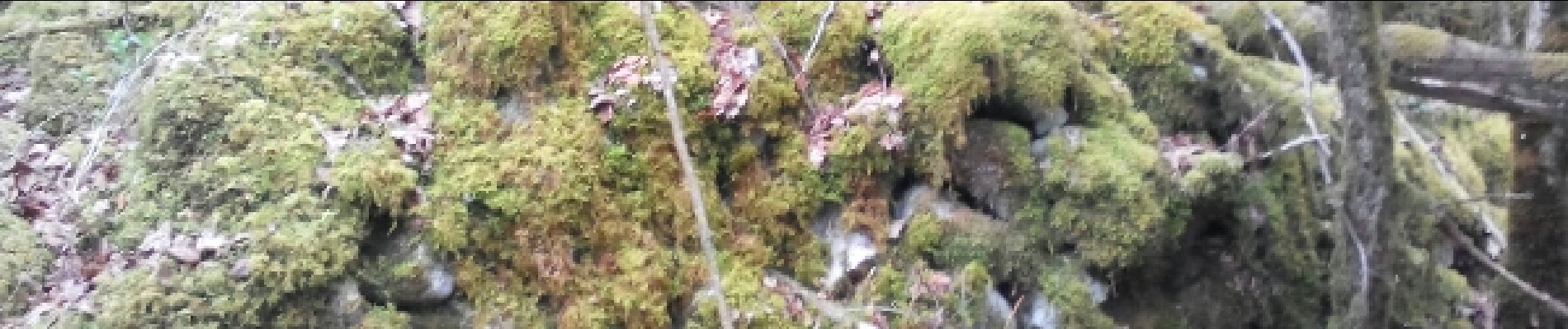 Point d'intérêt Fougax-et-Barrineuf - bati entre 2 dolines - Photo