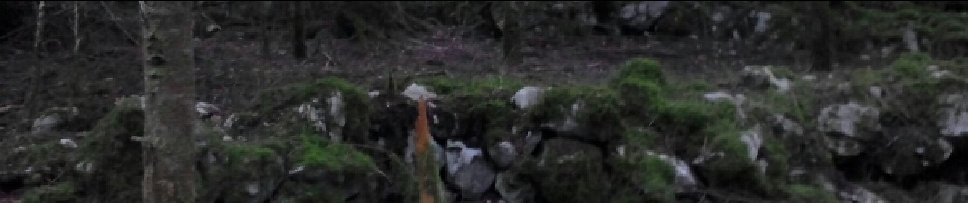 Point d'intérêt Fougax-et-Barrineuf - replat aménagé en haut d'unz doline - Photo