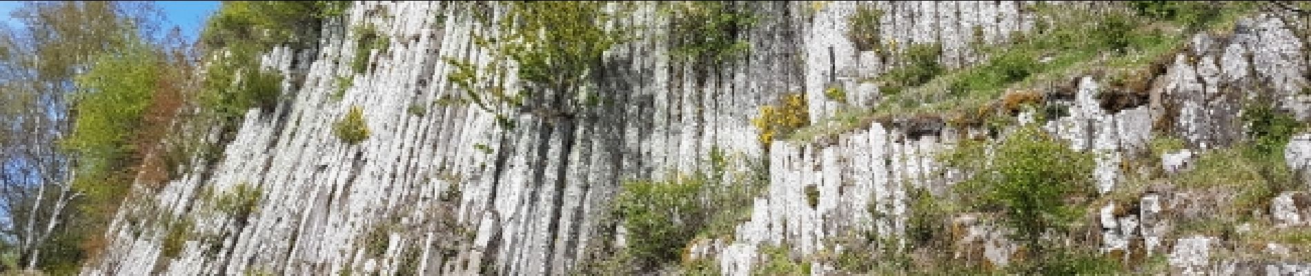 Trail Walking Orcines - Orcine-Montrodeix_T - Photo