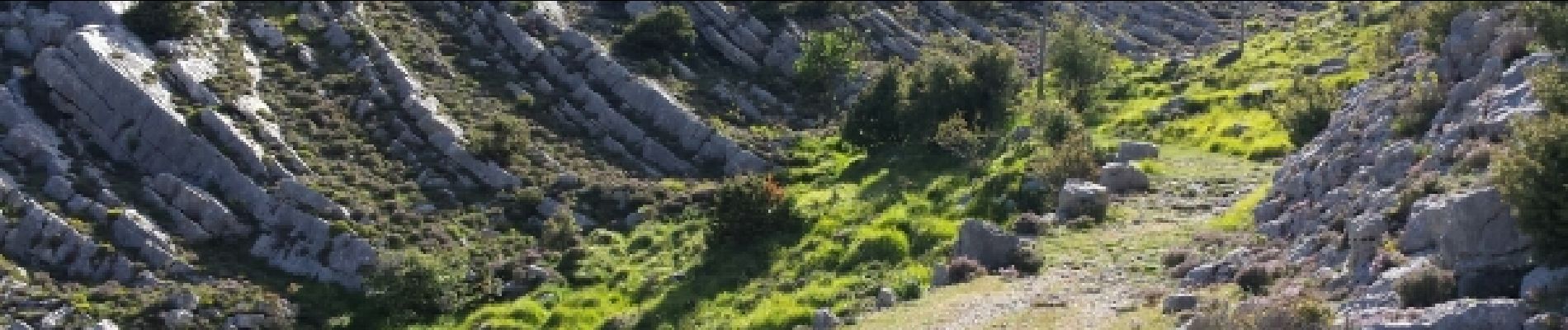 Point d'intérêt Escragnolles - Bientot le sommet - Photo