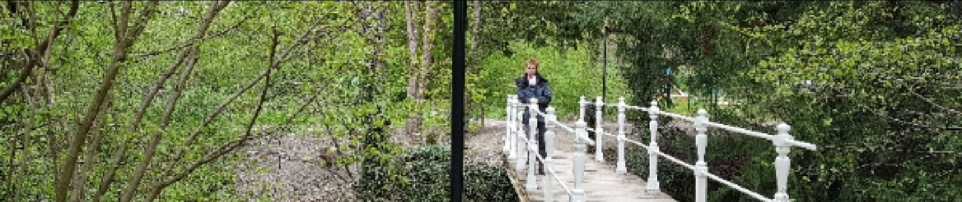 Tocht Stappen Valkenburg aan de Geul - Schin op Geul - Photo