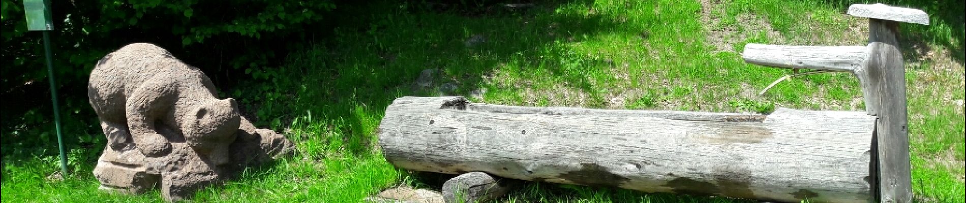 Randonnée Marche Le Hohwald - Par les sommets autour du Hohwald - Photo