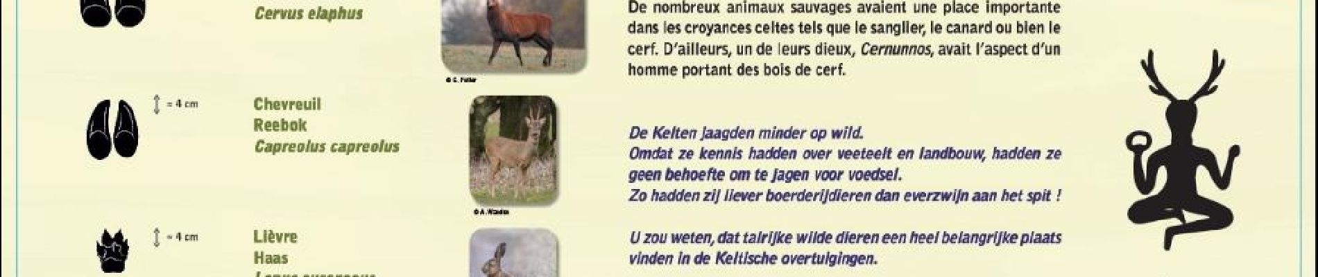 Point of interest Libramont-Chevigny - Panneaux pédagogique sur les  animaux des forêts d'Ardenne - Photo
