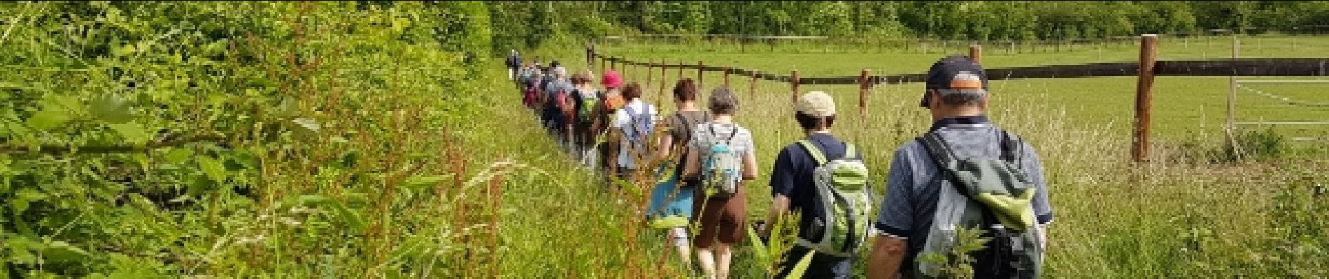 Point d'intérêt Montainville - Descente - Photo