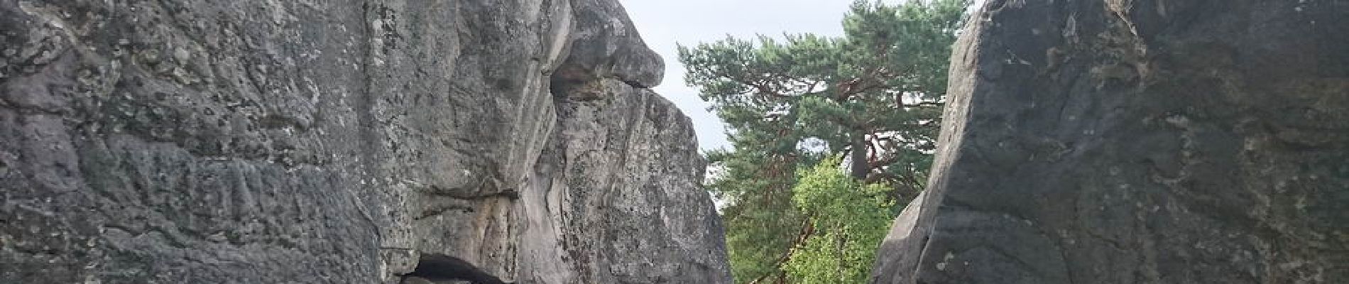 Point d'intérêt Fontainebleau - 02 - Le Rocher de Rude (S) - Photo