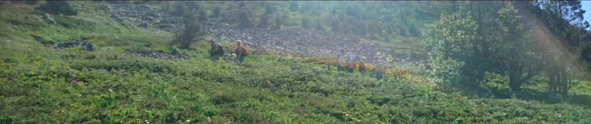 Point d'intérêt Les Estables - 02 - Débouchant de la forêt, apparait le sommet portant la Croix - Photo