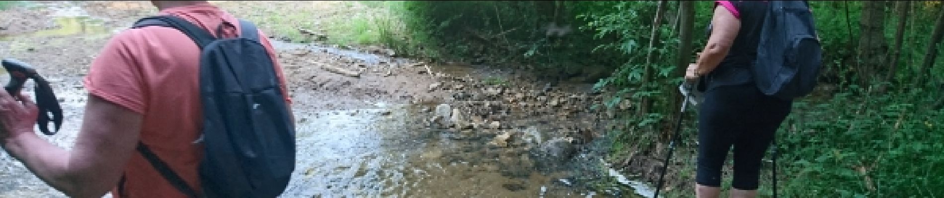 Point d'intérêt Tence - 03 - Le Ruisseau de la Sérigoule se traverse à gué - Photo