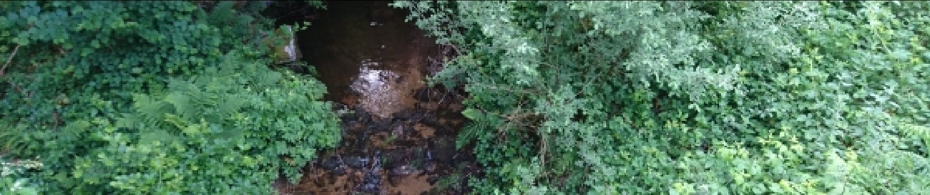 Punto de interés Le Chambon-sur-Lignon - 01 - Le Ruisseau de Meynier - Photo