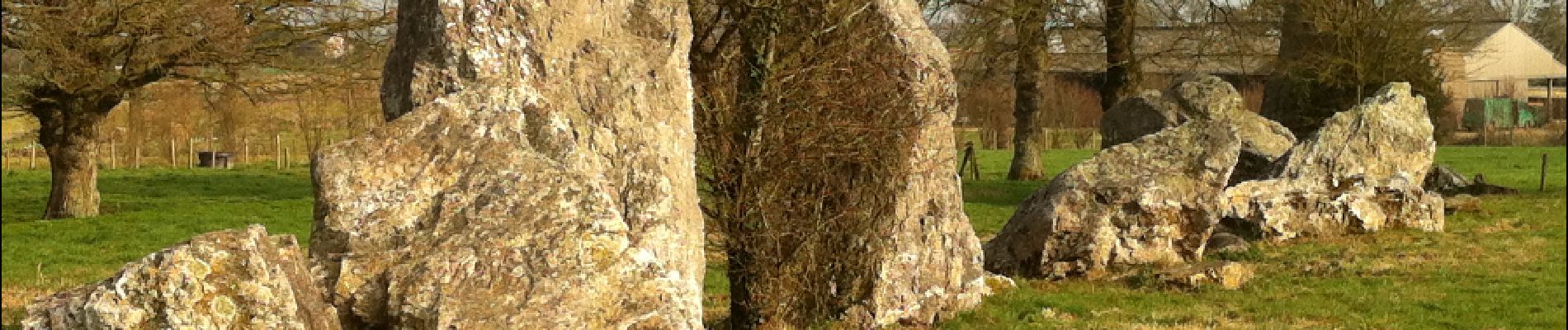 Punto de interés Médréac - Alignement des Menhirs de Lampouy - Photo