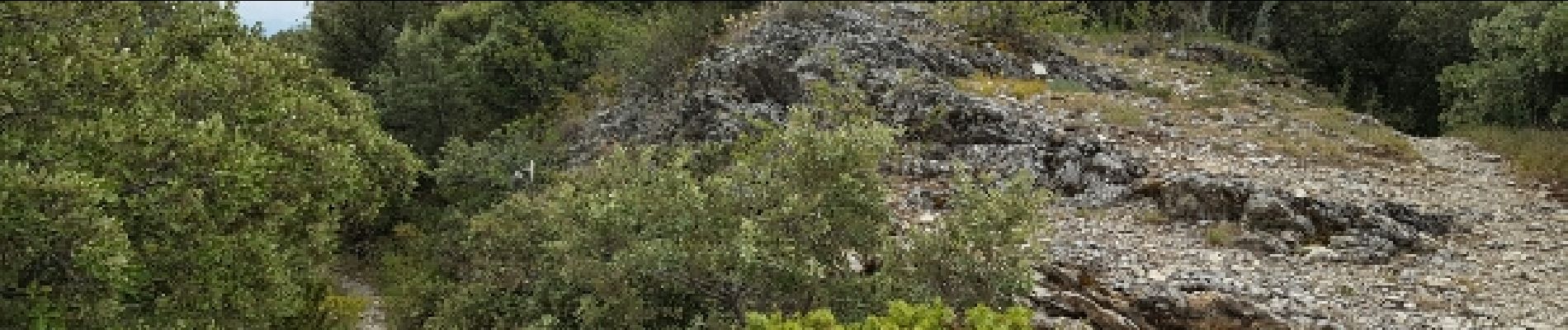 Point d'intérêt Rousset-les-Vignes - Point 4 - Photo